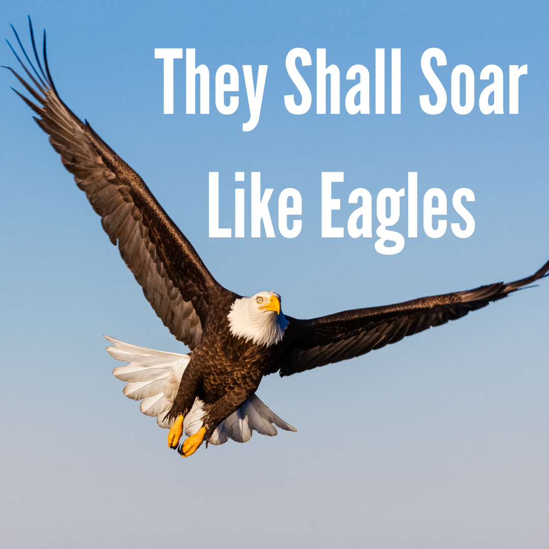 They Shall Soar Like Eagles