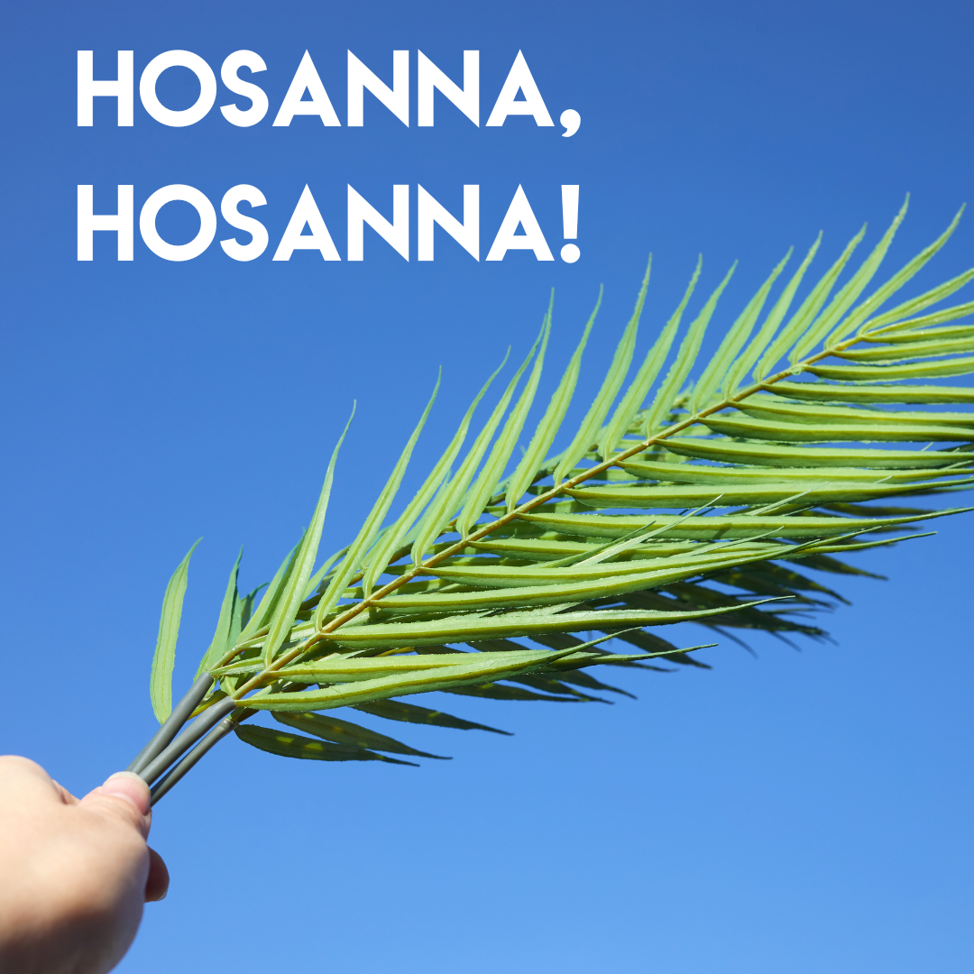 Hosanna, Hosanna!
