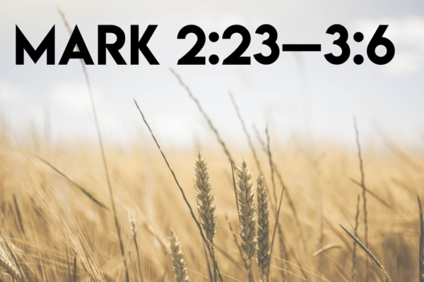 Mark 2-23—36