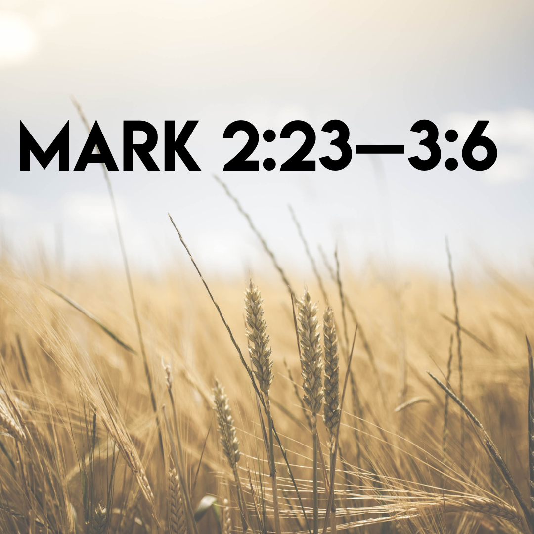 Mark 2-23—36