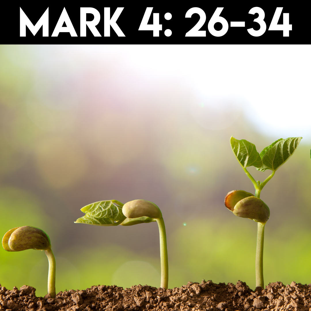 Mark 4-26-34