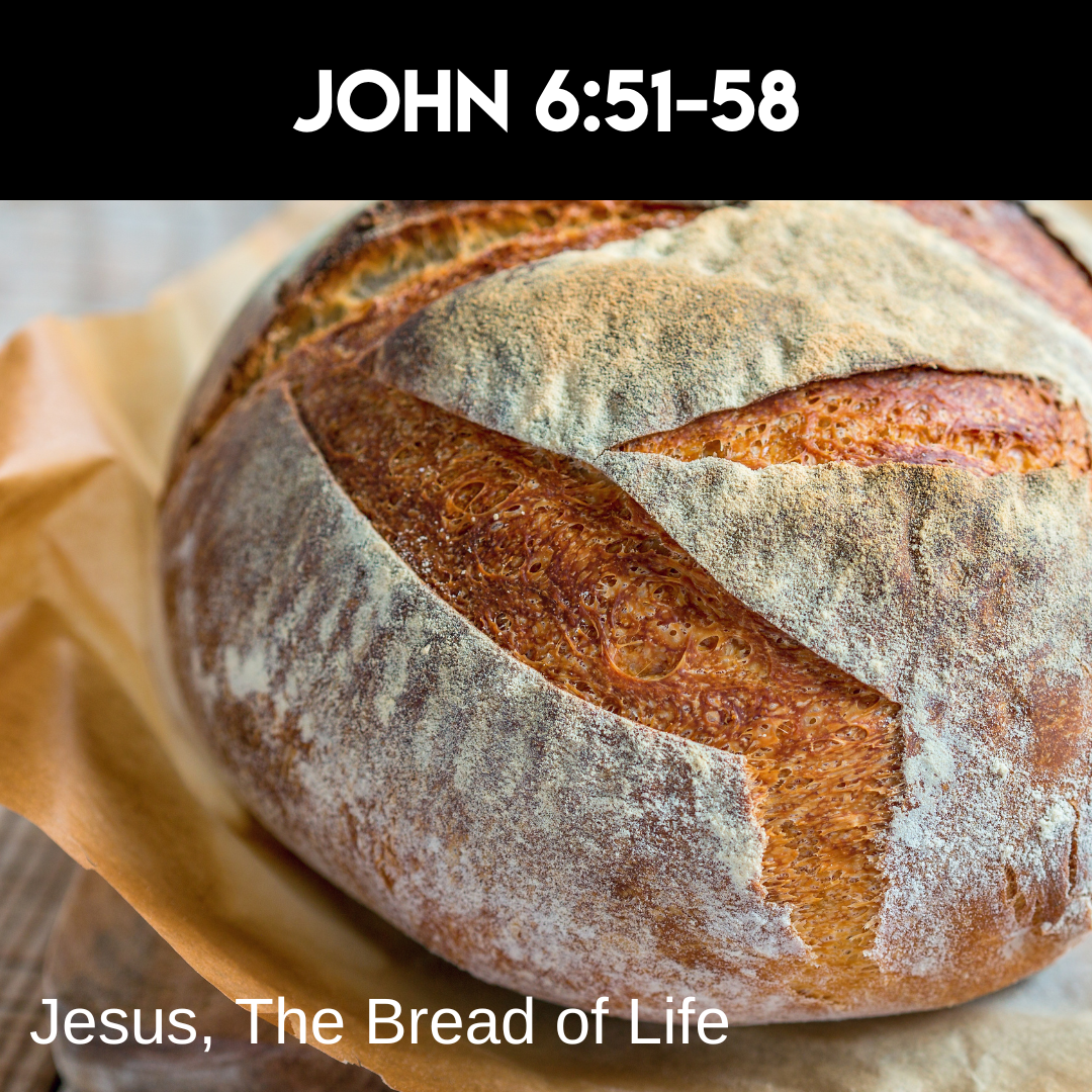 John 6 35, 41-51