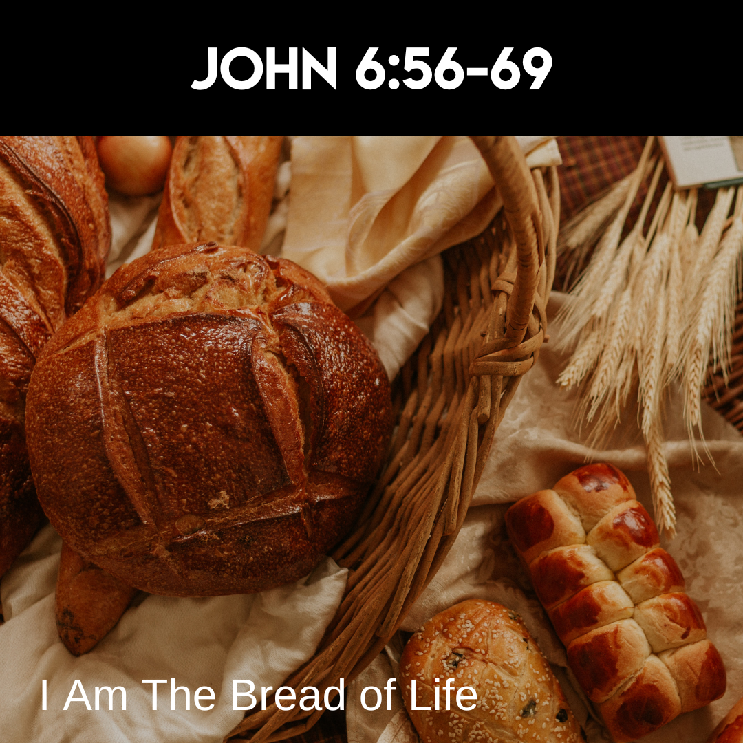 John 6 35, 41-51