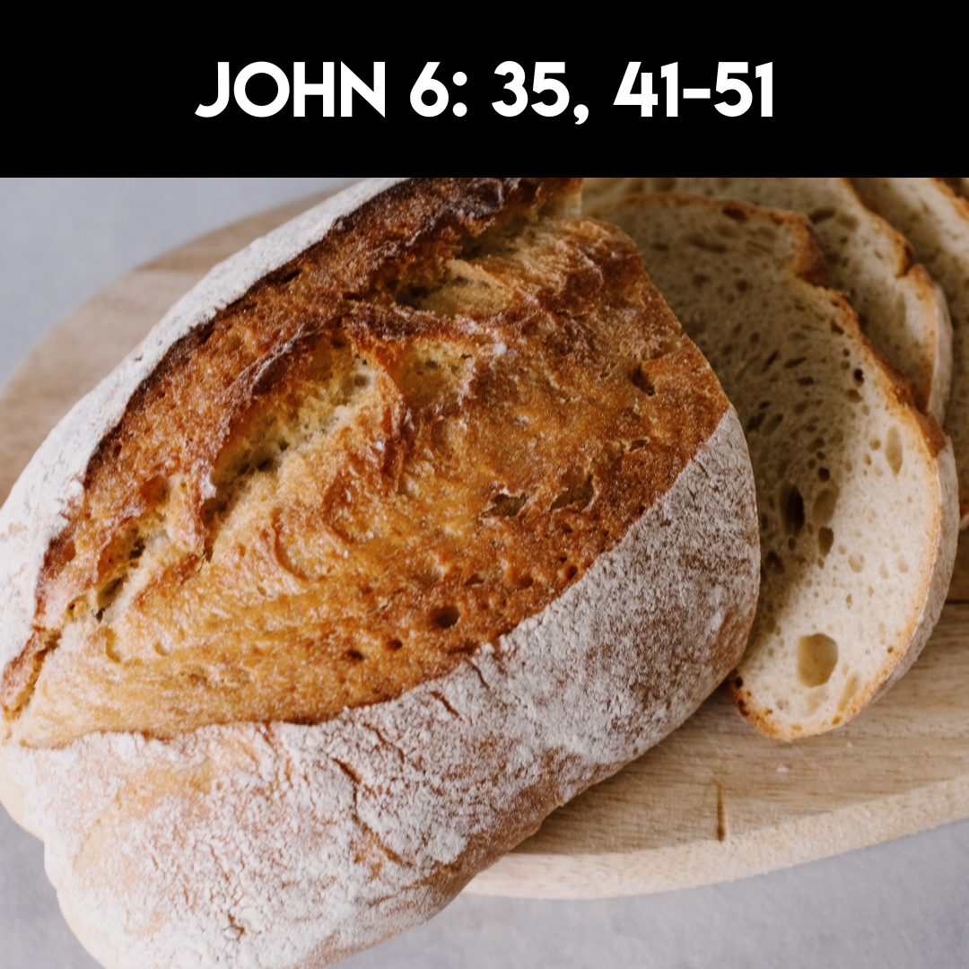 John 6 35, 41-51