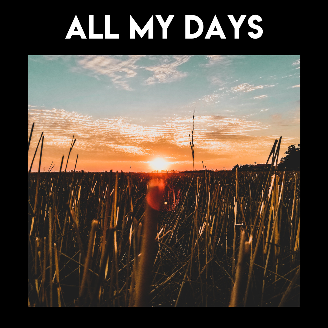 All My Days